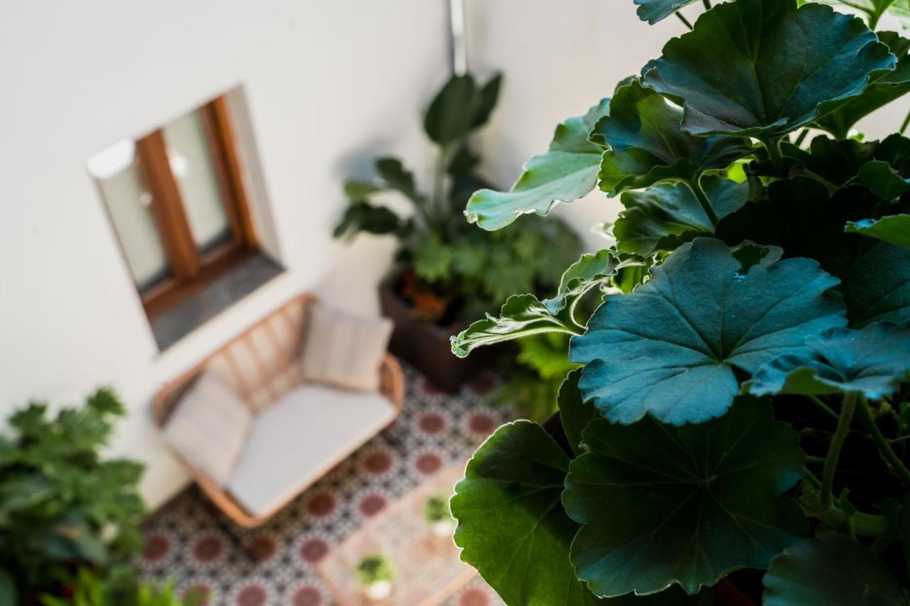 Ibericabeds Albaicin Lägenhet Granada Exteriör bild